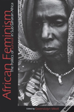 Capa do artigo African Feminism
