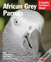 African Grey Parrots