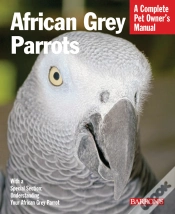 Capa do artigo African Grey Parrots
