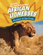 African Lionesses - Preview
