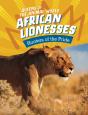 African Lionesses - Preview