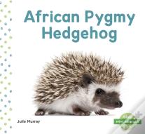 African Pygmy Hedgehog