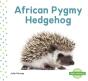 African Pygmy Hedgehog - Preview