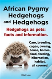 Capa do artigo African Pygmy Hedgehogs And Hedgehogs. Hedgehogs As Pets