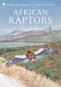 African Raptors - Preview