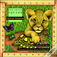 African Savanna
