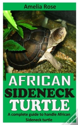 Capa do artigo African Sideneck Turtle