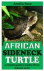 African Sideneck Turtle - Preview