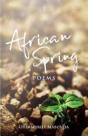 African Spring - Preview