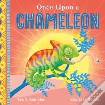 African Stories: Once Upon A Chameleon