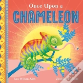African Stories: Once Upon A Chameleon