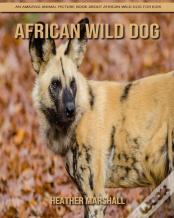 African Wild Dog