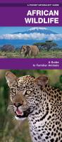 African Wildlife - Preview