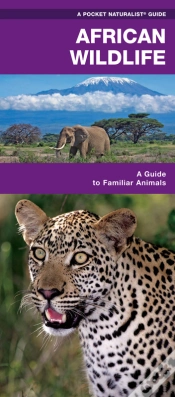 Capa do artigo African Wildlife