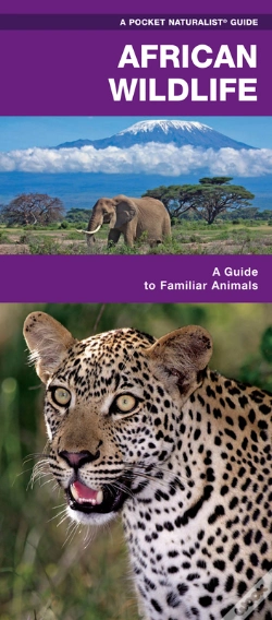 Capa do artigo African Wildlife