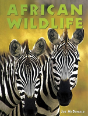 African Wildlife - Preview