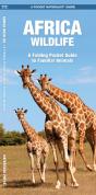 African Wildlife - Preview