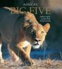 Africa'S Big Five - Preview