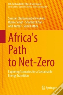 Capa do artigo Africa'S Path To Net-Zero
