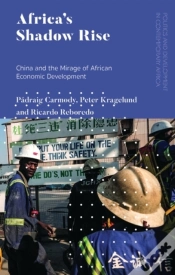 Capa do artigo Africa
