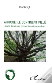Afrique, Le Continent Pillé ; Atouts, Handicaps, Perspectives Et Propositions
