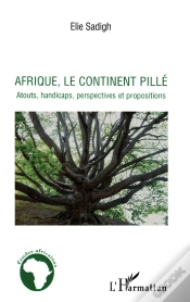 Capa do artigo Afrique, Le Continent Pillé ; Atouts, Handicaps, Perspectives Et Propositions