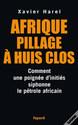 Capa do artigo Afrique, Pillage À Huis Clos