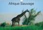 Afrique Sauvage Calendrier Mural 2018 Din A4 Horizontal - Preview