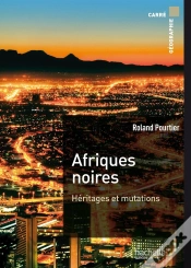 Capa do artigo Afriques Noires
