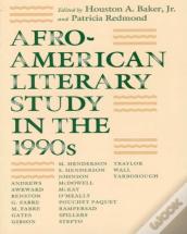 Afro-American Literary Study In The 1990s