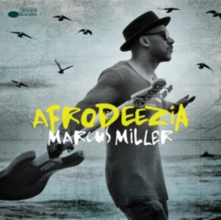Capa do artigo Afrodeezia - CD