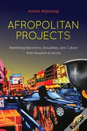 Capa do artigo Afropolitan Projects