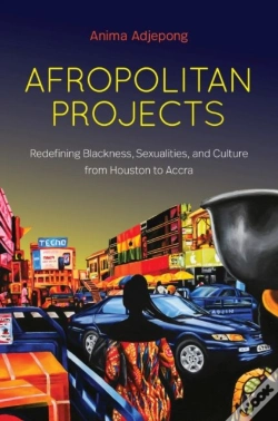 Capa do artigo Afropolitan Projects