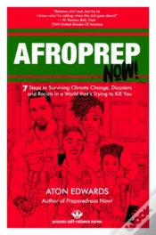 Capa do artigo Afroprep Now!