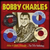 Capa do artigo After a While Crocodile - CD