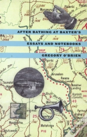 Capa do artigo After Bathing At Baxter