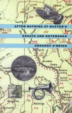 Capa do artigo After Bathing At Baxter'S