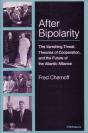 After Bipolarity - Preview