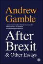 After Brexit And Other Essays - Preview