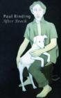 After Brock - Preview
