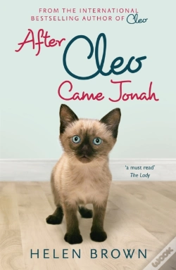 Capa do artigo After Cleo, Came Jonah