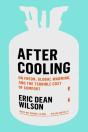 After Cooling - Preview