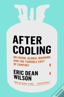 Capa do artigo After Cooling