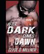 After Dark Comes Dawn 2 - Preview