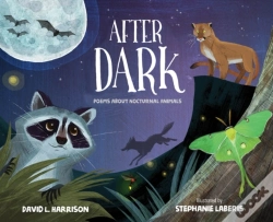 Capa do artigo After Dark