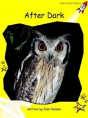 After Dark - Preview