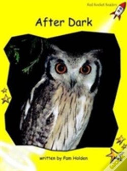 Capa do artigo After Dark