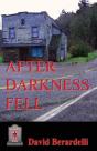 After Darkness Fell - Preview