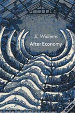 Capa do artigo After Economy