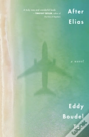 Capa do artigo After Elias